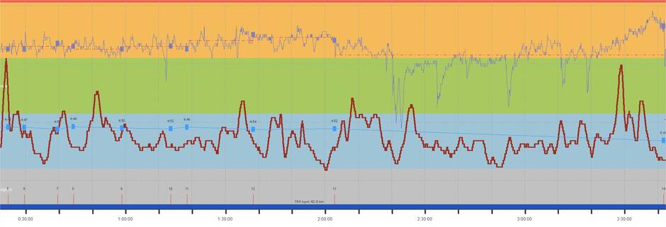Tests de 3 outils de mesure de fréquence cardiaque sur du fractionné -  RunMotion Coach Running